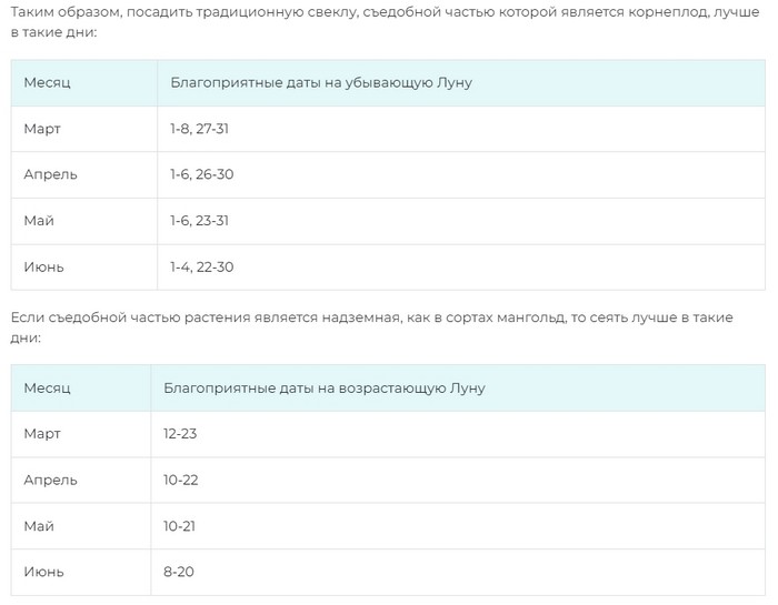 Коли садити буряки у 2024 році