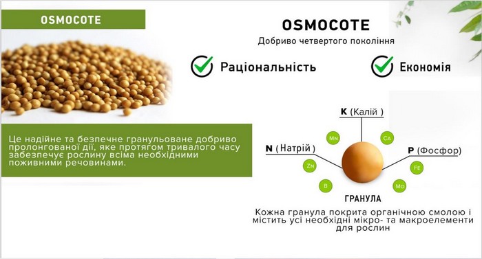 Осмокот: інструкція із застосування, дозування, що коли і як удобрювати