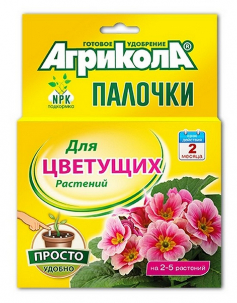 Квітка Монарда (30 фото) &mdash; опис, посадка та догляд