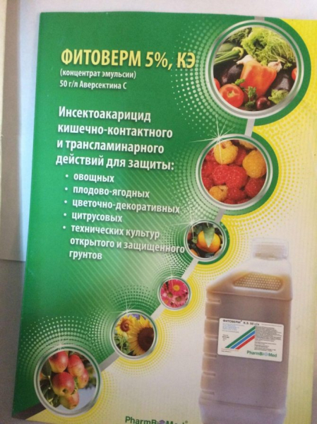 Як позбавитися від мухи цибулі