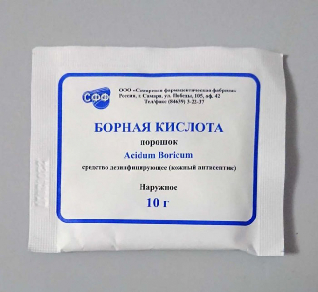 Як позбутися попелиці на смородині: рейтинг коштів від попелиці 2023 року