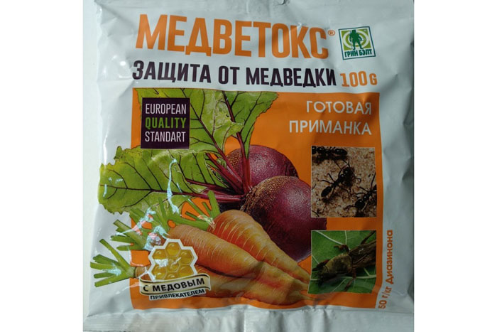 Ведмедка: як виглядає, чим харчується і як з нею боротися