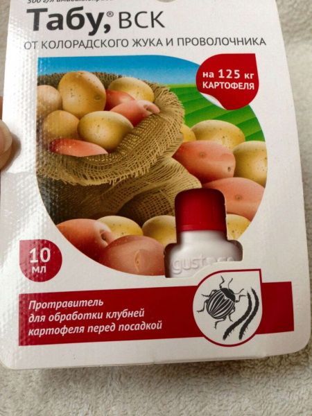 Картопля для півночі: сорти, коли та як садити
