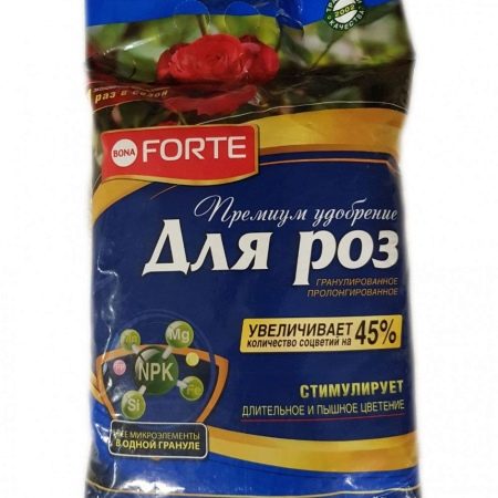 Як доглядати за трояндами влітку?