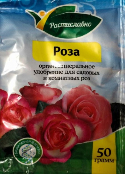 Як і коли цвітуть троянди?