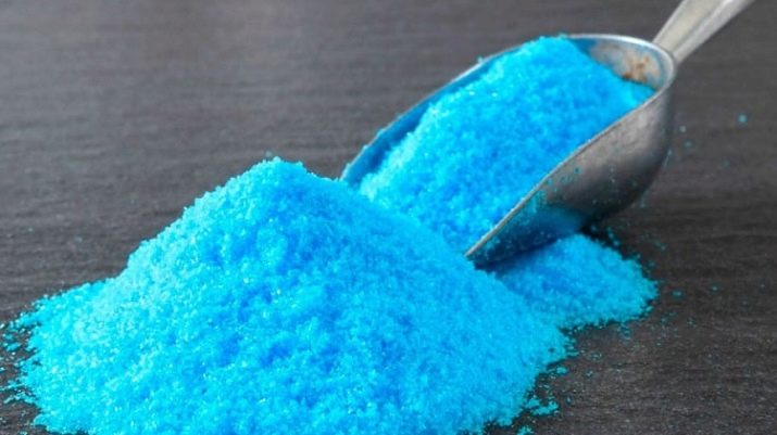 Як позбутися чорних плям на листі троянд?