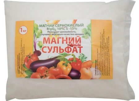 Як пожвавити троянди після зими?