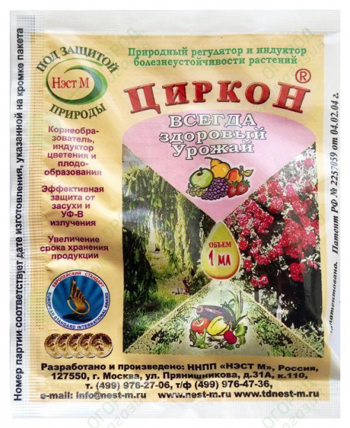 Як пожвавити троянди після зими?