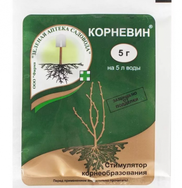 Як правильно живити троянди?