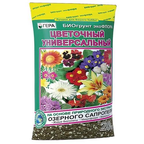 Який ґрунт люблять троянди?