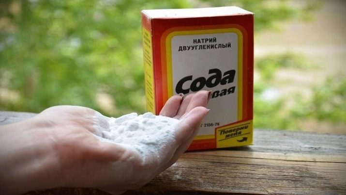 Народні засоби від попелиці на трояндах