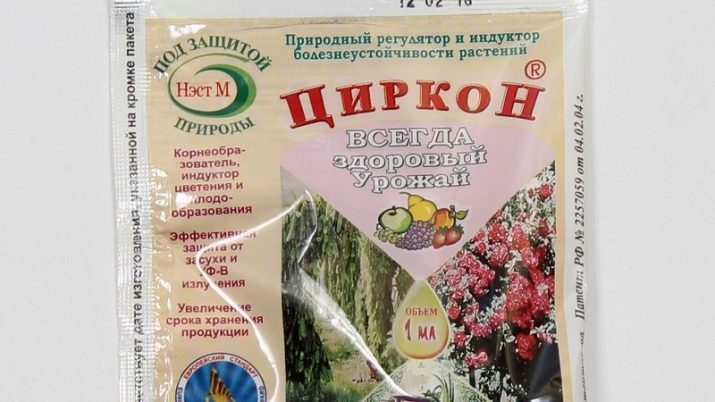 Нюанси підживлення троянд під час цвітіння