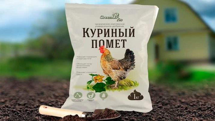 Нюанси підживлення троянд під час цвітіння