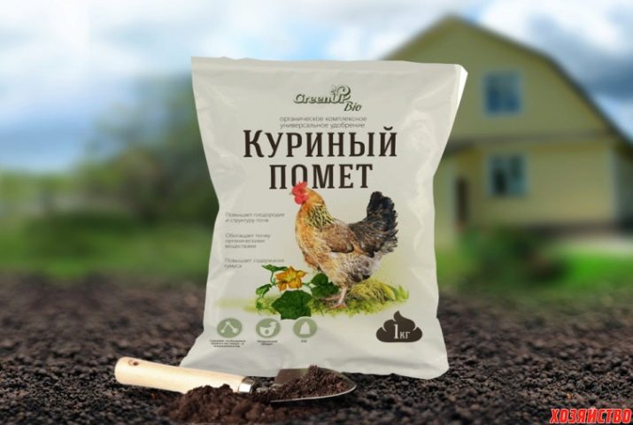Особливості підживлення троянд після цвітіння