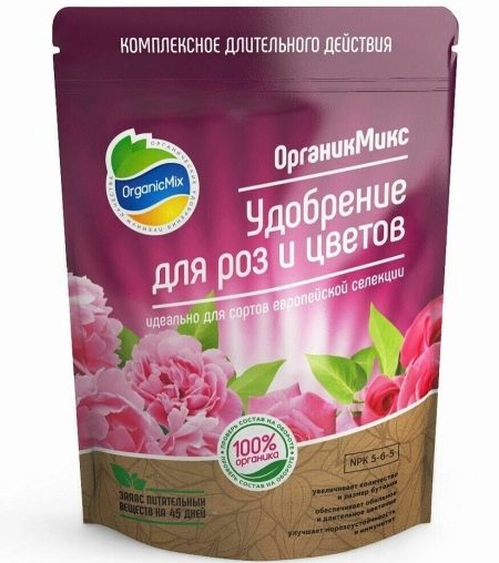 Особливості підживлення троянд у серпні