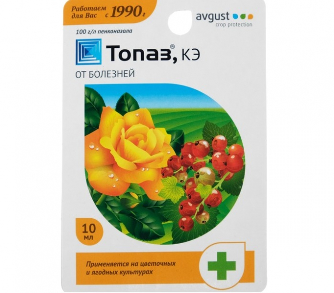 Підготовка троянд до зими