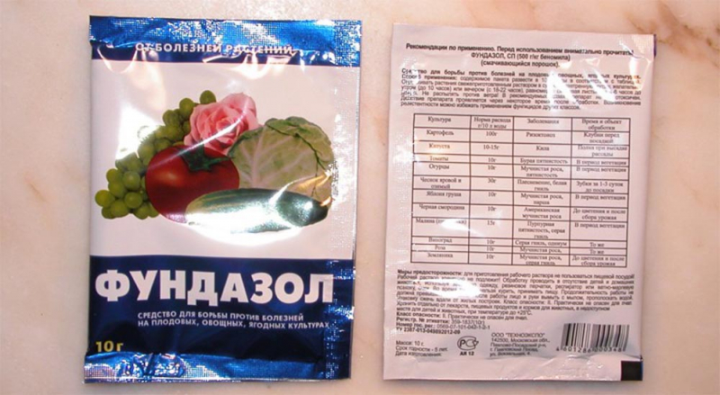 Правила посадки троянд навесні