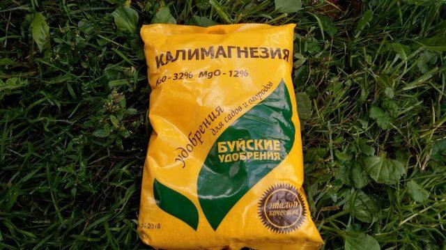 Що робити, якщо троянда не цвіте?