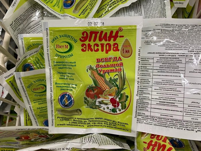Що робити, якщо троянда відцвіла?
