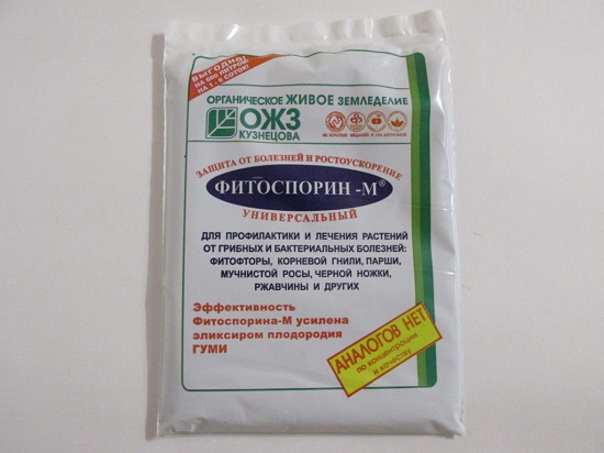 Що робити, якщо троянди погано зростають?