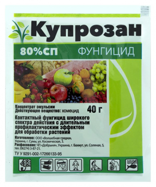 Що робити, якщо у троянди червоніє листя?