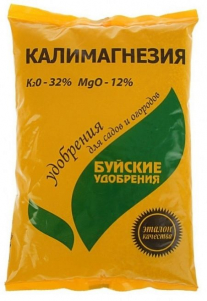 Що робити, якщо у троянди червоніє листя?