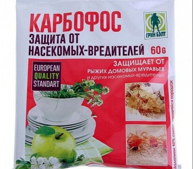 15 способів, як позбутися садових мурах