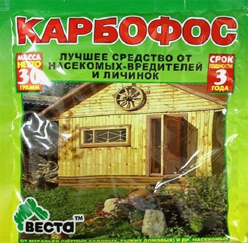 Вибираємо ефективний порошок від клопів