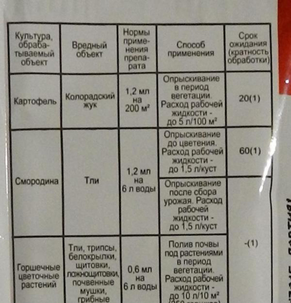 Колорадський жук: перевірені засоби та препарати для боротьби зі шкідником