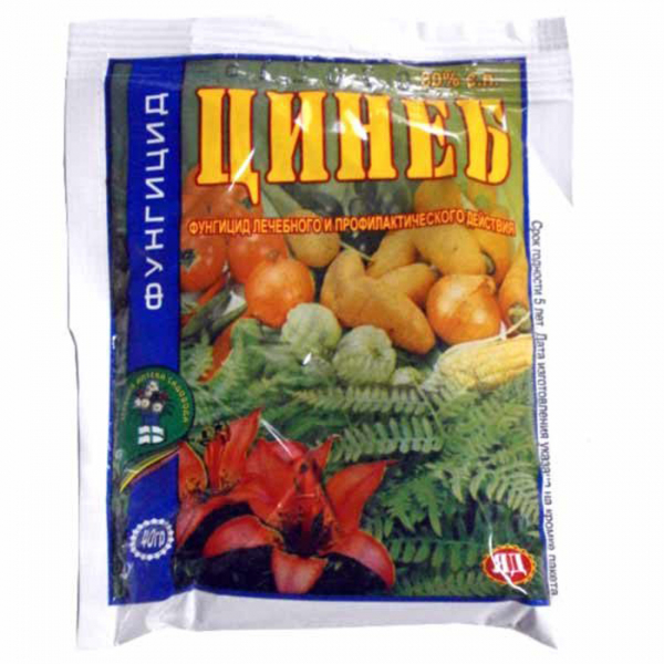 37 хвороб томатів з фото та описом + лікування
