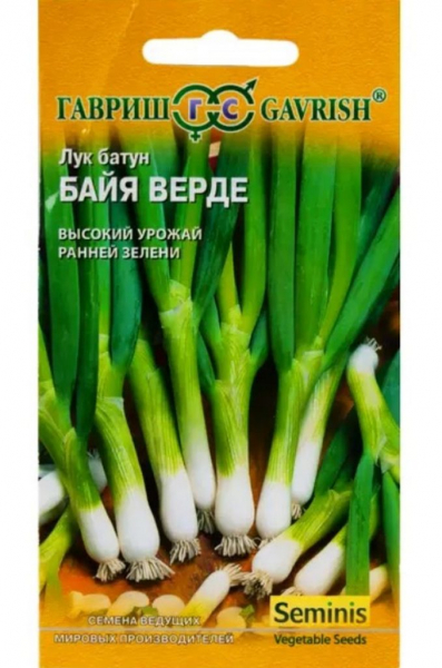 Лук-батун: коли і як висаджувати для багатого врожаю