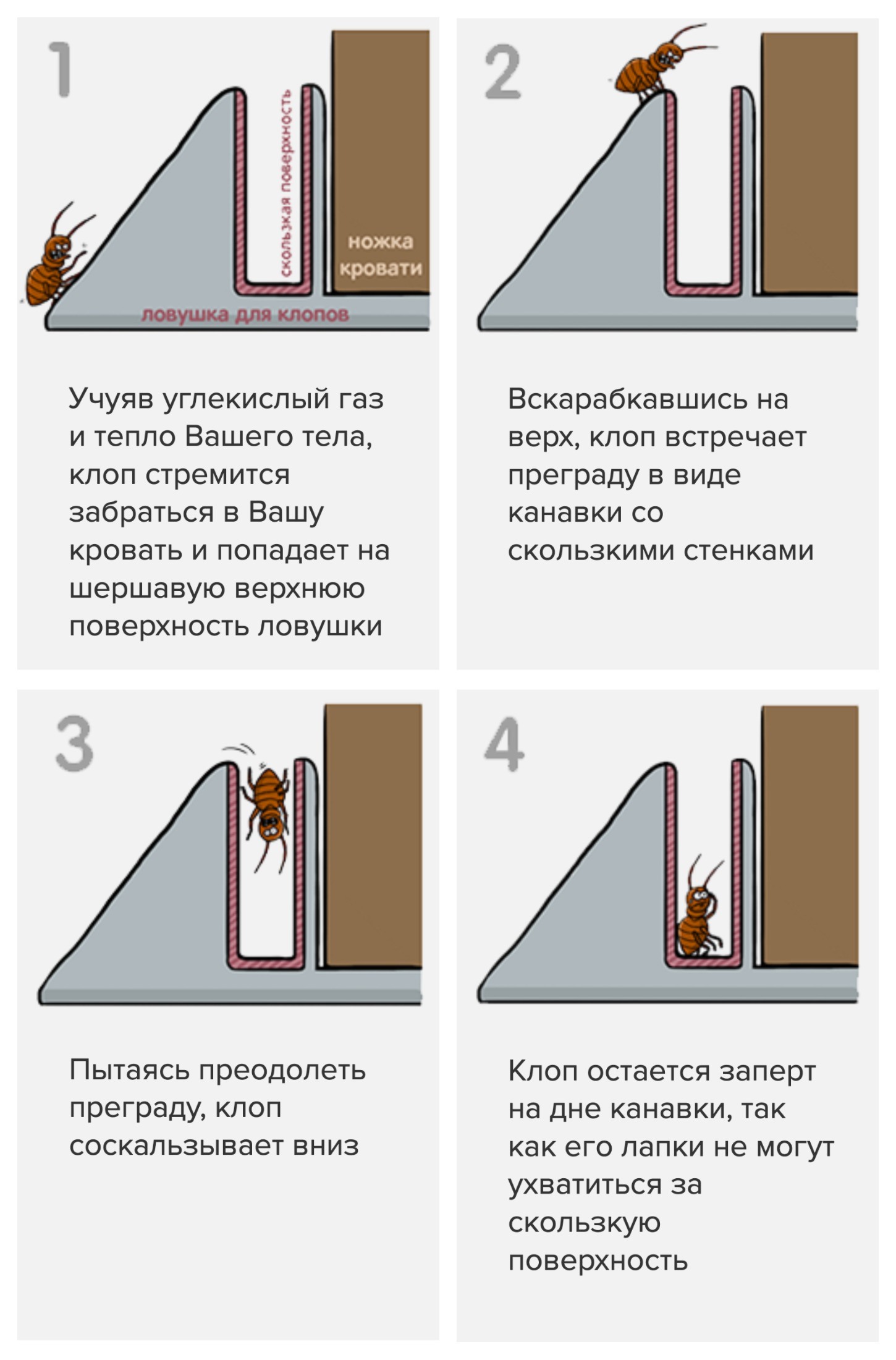 15 найкращих засобів від постільних клопів без запаху
