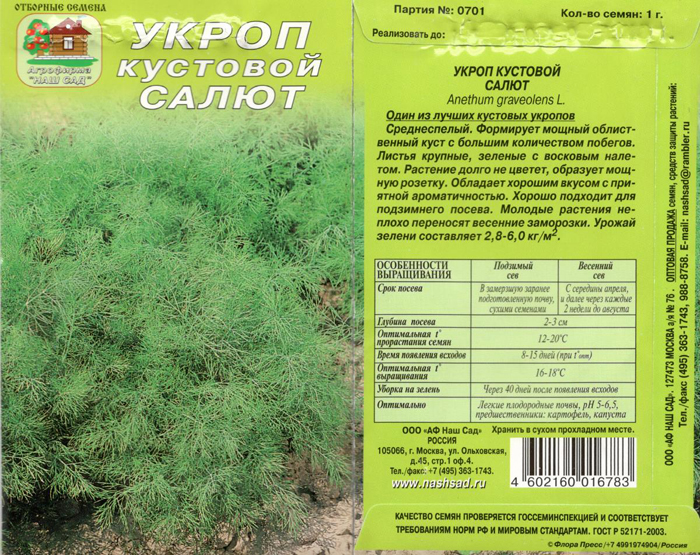 Сорти кропу &ndash; 25 найкращих сортів з фото та описом