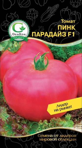 Кладоспоріоз томатів: лікування та методи боротьби, стійкі сорти