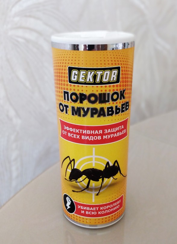 10 способів, як боротися з навалою мурах на полуницю