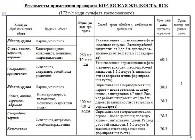 Бордоська рідина - що це таке, як приготувати розчин, інструкція із застосування