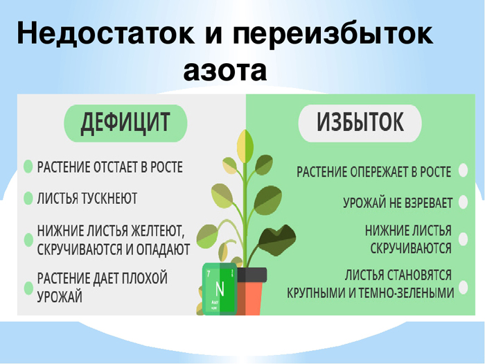 Голубиний послід як добриво