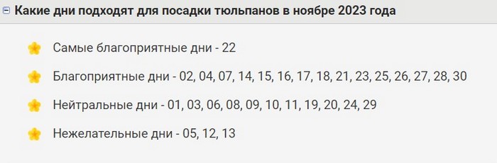 Посадка тюльпанів восени 2024: терміни та особливості