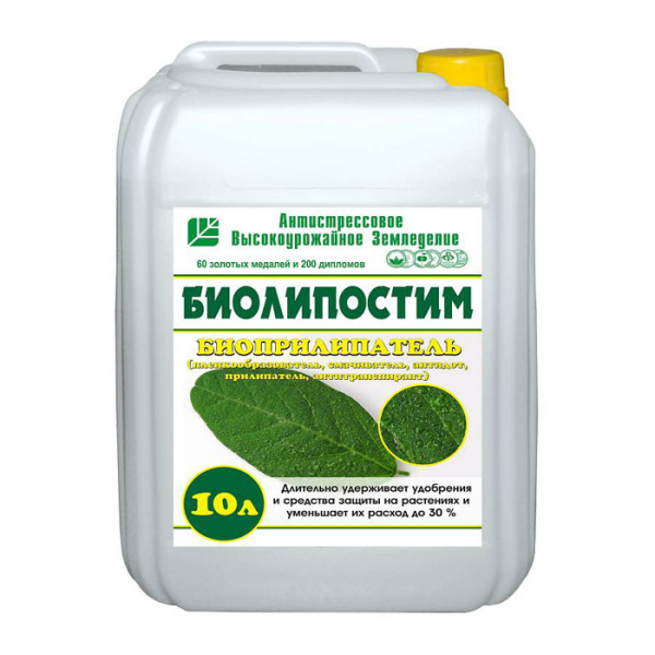 Догляд за виноградом у серпні 2024 року