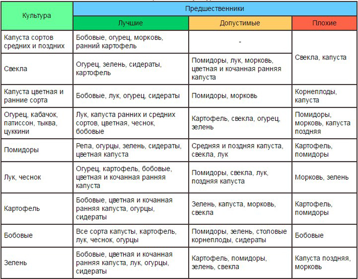 Коли і як саджати часник під зиму &ndash; 100% ефективні поради для багатого врожаю