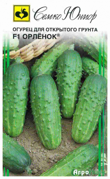 Помилкова борошниста роса (пероноспороз) огірків &ndash; заходи боротьби (25 засобів)