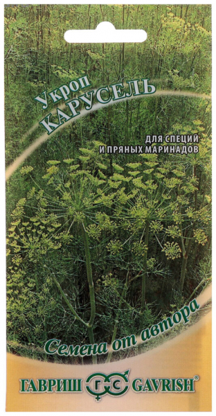 Сорти кропу &ndash; 25 найкращих сортів з фото та описом