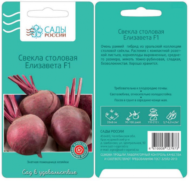 Сорти буряків – 60 найкращих сортів 2024 року