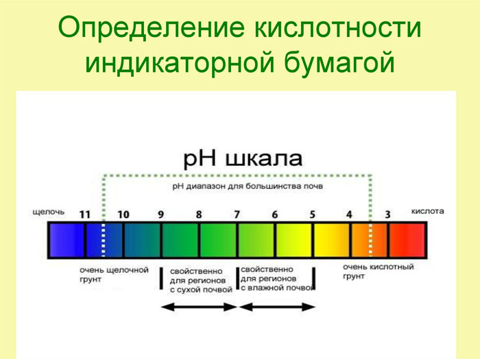 Як підкислити ґрунт &ndash; основні способи для лохини, гортензії, хвойних.