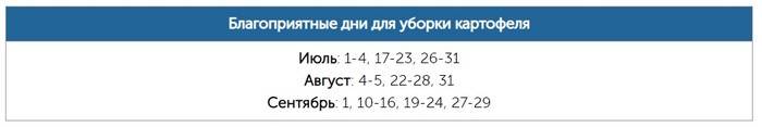 Коли копати картопля 2024 року: терміни та ознаки дозрівання