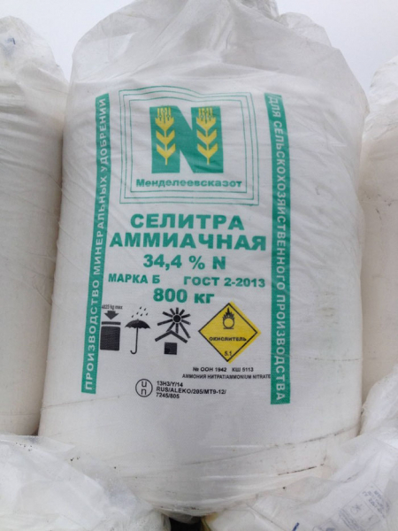 Вирощування ріпи у відкритому ґрунті — посів, посадка та догляд