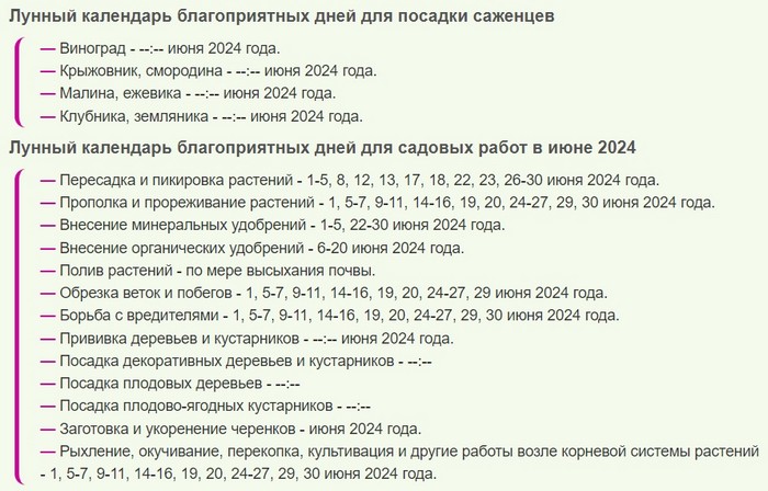 Що посадити у червні 2024 року у відкритий ґрунт та теплицю