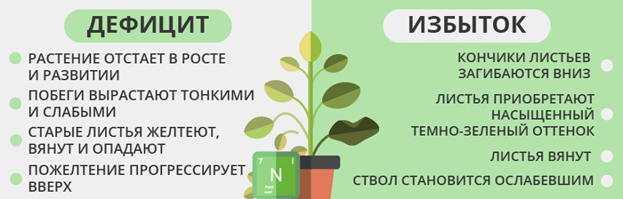 Карбамід (сечовина) - застосування в саду та городі, інструкція