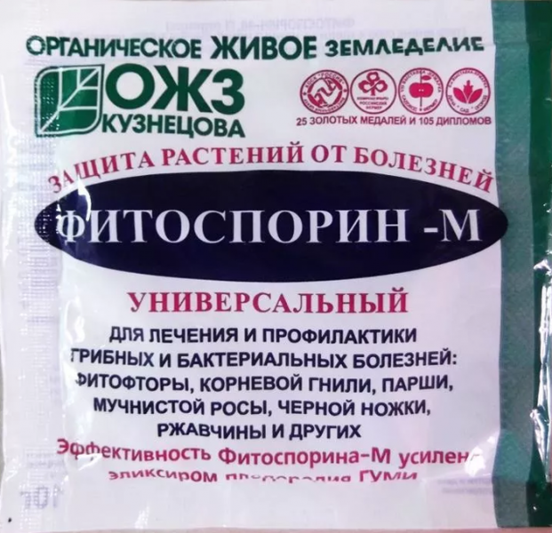 Вершинна гнилизна на помідорах: причини, що робити, як лікувати?