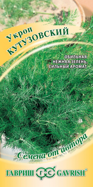 Сорти кропу &ndash; 25 найкращих сортів з фото та описом